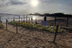 Quảng Ngãi: Đảm bảo an toàn tuyến cáp xuyên biển cấp điện cho Lý Sơn