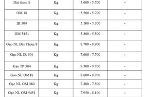 Giá lúa gạo hôm nay ngày 16/11 và tuần qua: Thị trường lặng sóng