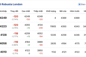 Giá cà phê hôm nay 17/11/2025: Trong nước đi ngang