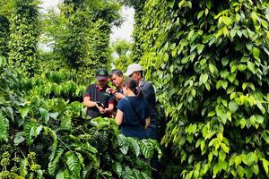 'Xanh hóa' xuất khẩu: Chìa khoá đưa hàng Việt bứt phá toàn cầu