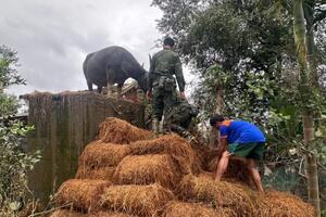 Giải cứu “đầu cơ nghiệp” cho nông dân