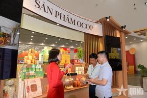 Ninh Bình vững bước trên hành trình xây dựng nông thôn mới