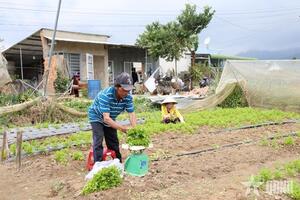 Lâm Đồng: Nguồn cung rau củ sụt giảm, giá cao