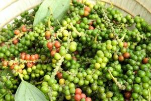 Giá tiêu hôm nay 31/12/2025: Biến động trái chiều