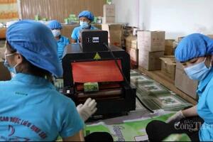 Quảng Trị: Khuyến công là động lực phát triển kinh tế bền vững