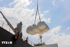 Việt Nam xuất khẩu được hơn 8 triệu tấn gạo