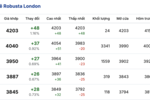 Giá cà phê hôm nay 17/1/2026: Tăng nhẹ 500 - 600 đồng/kg