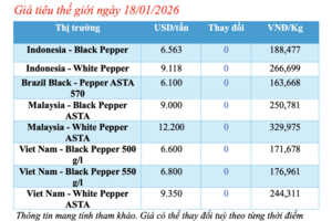 Giá tiêu hôm nay 18/1/2026: Chững lại phiên cuối tuần