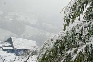 Trời rét đậm gần 0 độ C, đỉnh Mẫu Sơn xuất hiện băng giá