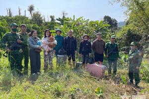 Bộ đội Biên phòng tỉnh Lâm Đồng bắt giữ 10 đối tượng nhập cảnh trái phép