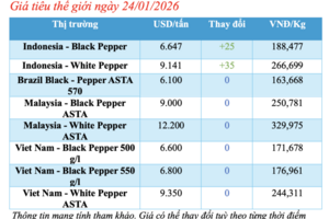 Giá tiêu hôm nay 24/1/2026: Bật tăng tại Đắk Lắk