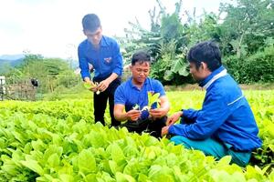 Làm giàu từ nông nghiệp, lan tỏa tinh thần cống hiến