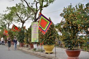 Đặc sắc ngày hội quật cảnh Cẩm Hà lần thứ X