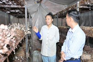 Nấm rơm sạch OCOP 3 sao đắt hàng dịp Tết