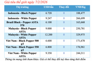Giá tiêu hôm nay 7/2/2026: Giảm đồng loạt từ 500 - 1.000 đồng/kg