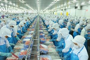 Xuất khẩu cá tra, cá ngừ tăng tốc đầu năm 2026