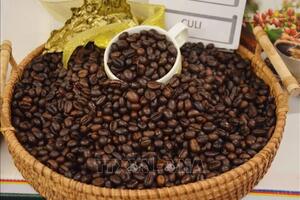 Bản tin nông sản hôm nay (4-3): Giá cà phê tăng nhẹ