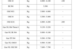 Giá lúa gạo hôm nay ngày 5/3/2026: Lúa tươi đồng loạt giảm