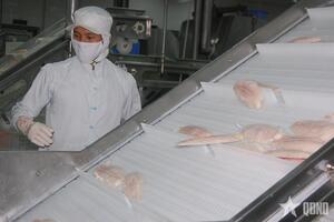 2 tháng đầu năm 2026: Việt Nam xuất khẩu 11,3 tỷ USD sản phẩm nông, lâm, thủy sản