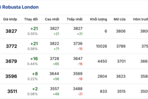 Giá cà phê hôm nay 7/3/2026: Đi ngang