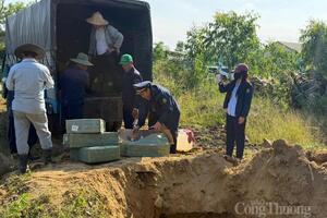 Ban Chỉ đạo 389 Đắk Lắk: Xử phạt và truy thu hơn 25 tỷ đồng trong 2 tháng đầu năm 2026