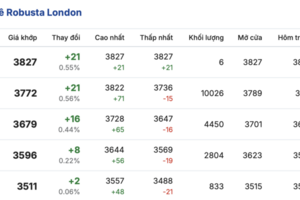 Giá cà phê hôm nay 9/3/2026: Đi ngang