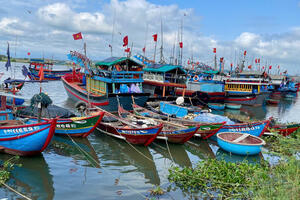 Quảng Ngãi: Ngư dân tìm cách thích nghi với giá dầu tăng để bám biển