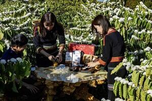 Cà phê Đắk Lắk thu hút doanh nghiệp Áo, hướng tới hợp tác dài hạn