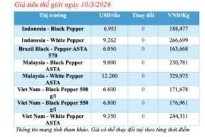 Giá tiêu hôm nay 10/3/2026: Cao nhất 165.000 đồng/kg