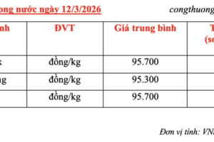 Giá cà phê hôm nay 12/3/2026: Thị trường trong nước giảm nhẹ