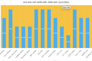 Giá heo hơi hôm nay 16/3/2026: Cao nhất đạt mốc 66.000 đồng/kg