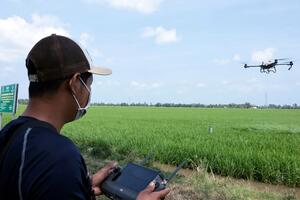 Hiệu quả sản xuất xanh từ mô hình lúa phát thải thấp ở An Giang