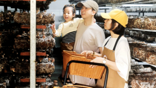 Mở rộng đầu ra cho sản phẩm OCOP