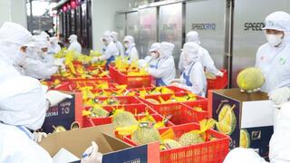 Xuất khẩu rau quả Việt Nam tăng tốc hướng tới mốc 10 tỷ USD