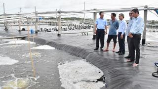 Phó Chủ tịch UBND tỉnh- Châu Văn Hòa khảo sát vùng nuôi tôm công nghệ cao