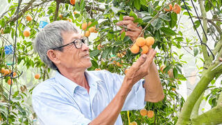 Phường Đông Thành tập trung phát triển kinh tế- xã hội