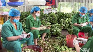 Liên kết sản xuất để nâng cao thu nhập