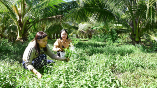 Chuyển dịch cơ cấu kinh tế, nâng chất tiêu chí đô thị ở Tập Ngãi