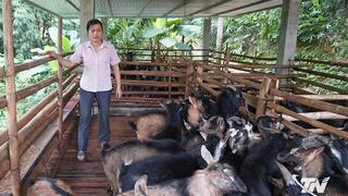Nguồn vốn chính sách tiếp sức người dân phát triển kinh tế
