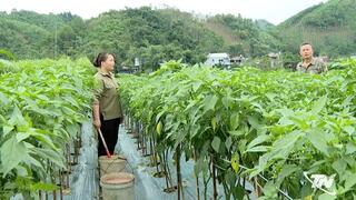 Phát triển nông nghiệp hàng hóa ở Tân Kỳ