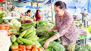 Rau, củ giảm giá