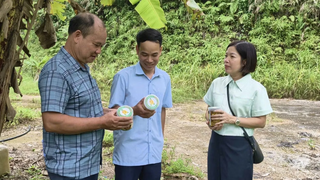 Hỗ trợ người dân xây dựng mô hình phát triển kinh tế mới