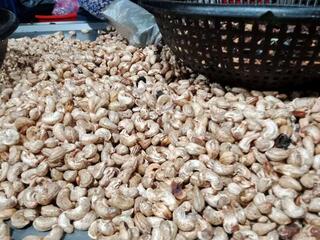 Giá nông sản hôm nay 20/4/2026: Nhiều hàng vào mùa, được giá