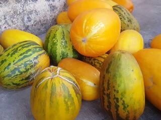 Giá nông sản hôm nay 22/4/2026: Tăng, giảm trái chiều