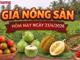 Giá nông sản hôm nay 23/4: Nhiều mặt hàng có xu hướng giảm mạnh