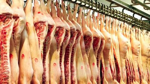 Nhập khẩu thịt lợn dự báo vẫn tăng