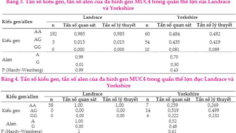 Đa hình gen FUT1, MUC4 trong quần thể lợn nái, đực Landrace và Yorkshire