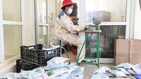 Quảng Trị ứng dụng công nghệ sinh học vào sản xuất nông nghiệp