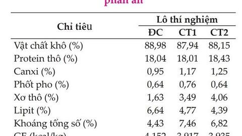 Khả năng sinh trưởng và năng suất thịt của gà nuôi bằng khẩu phần thức ăn tự trộn