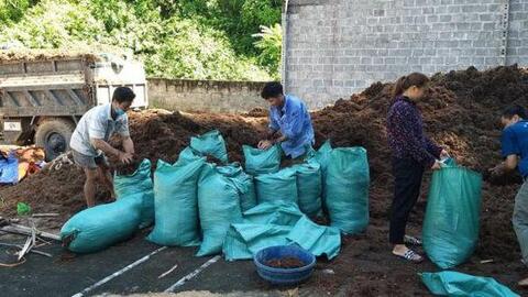 Xây dựng mô hình vỗ béo bò thịt